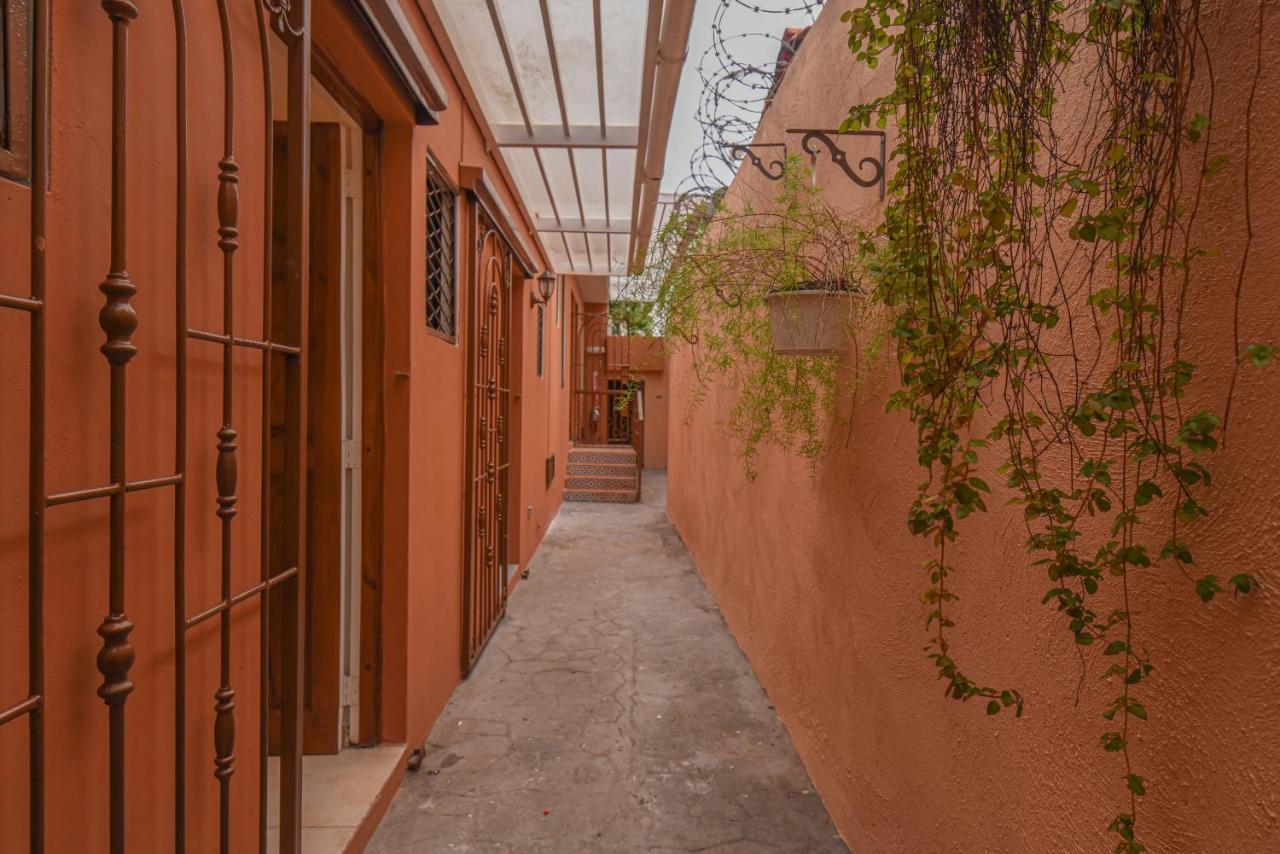 Ph 19 Guesthouse Hotel In Gazcue Santo Domingo Eksteriør billede